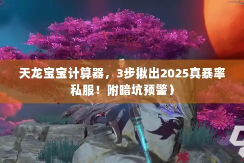 天龙宝宝计算器，3步揪出2025真暴率私服！附暗坑预警）