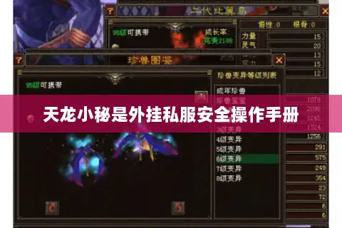 天龙小秘是外挂私服安全操作手册