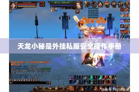 天龙小秘是外挂私服安全操作手册