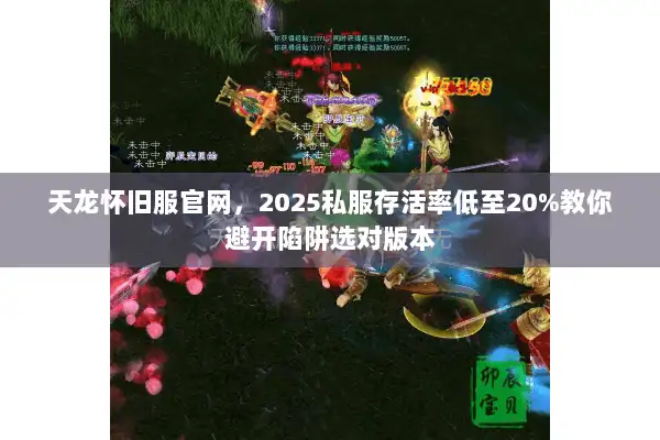 天龙怀旧服官网，2025私服存活率低至20%教你避开陷阱选对版本