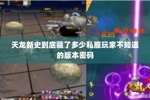 天龙新史到底藏了多少私服玩家不知道的版本密码