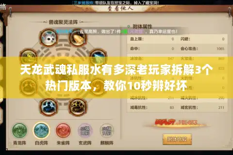 天龙武魂私服水有多深老玩家拆解3个热门版本,教你10秒辨好坏 天龙武魂私服水有多深老玩家拆解3个热门版本,教你10秒辨好坏