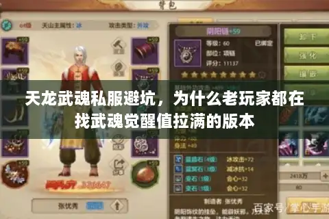 天龙武魂私服避坑，为什么老玩家都在找武魂觉醒值拉满的版本