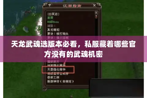 天龙武魂选版本必看，私服藏着哪些官方没有的武魂机密