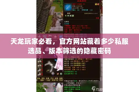 天龙玩家必看，官方网站藏着多少私服选品、版本筛选的隐藏密码