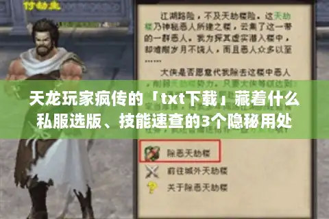天龙玩家疯传的「txt下载」藏着什么私服选版、技能速查的3个隐秘用处