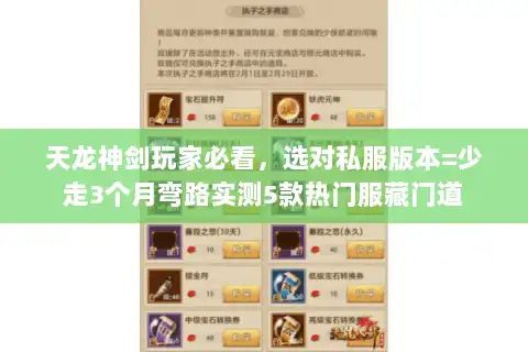 天龙神剑玩家必看，选对私服版本=少走3个月弯路实测5款热门服藏门道