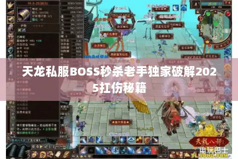 天龙私服BOSS秒杀老手独家破解2025扛伤秘籍
