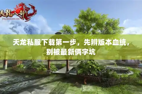 天龙私服下载第一步，先辨版本血统，别被最新俩字坑