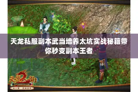 天龙私服副本武当培养太坑实战秘籍带你秒变副本王者 天龙私服副本武当培养太坑实战秘籍带你秒变副本王者