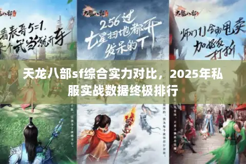 天龙八部sf综合实力对比，2025年私服实战数据终极排行