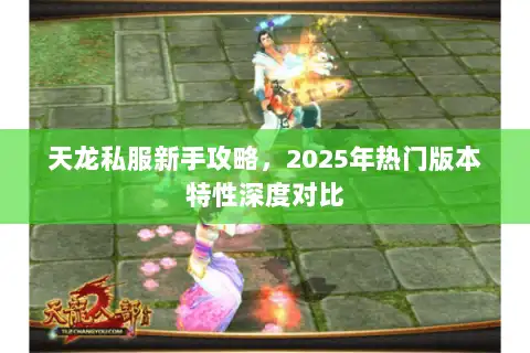 天龙私服新手攻略，2025年热门版本特性深度对比