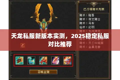 天龙私服新版本实测，2025稳定私服对比推荐
