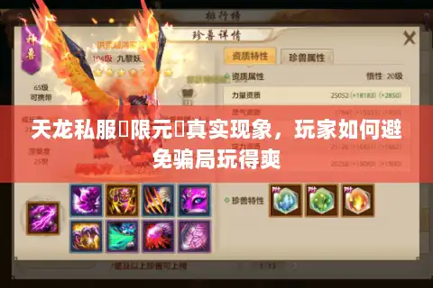 天龙私服無限元寶真实现象，玩家如何避免骗局玩得爽