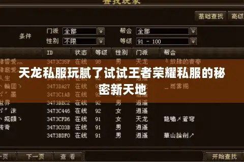 天龙私服玩腻了试试王者荣耀私服的秘密新天地