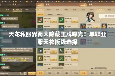天龙私服界两大隐藏王牌曝光！单职业服天花板级选择