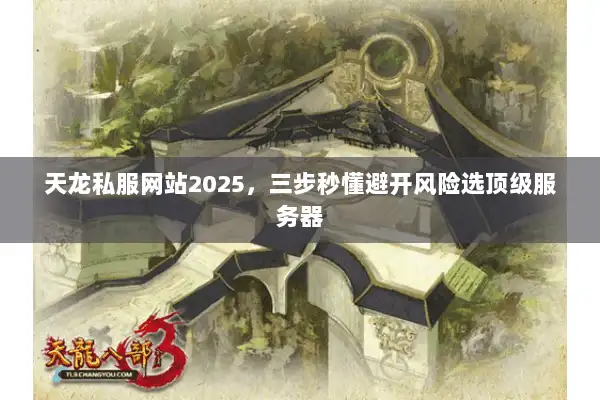 天龙私服网站2025，三步秒懂避开风险选顶级服务器