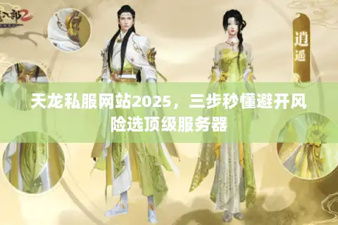 天龙私服网站2025，三步秒懂避开风险选顶级服务器