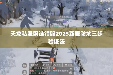 天龙私服网选错服2025新服防坑三步验证法 天龙私服网选错服2025新服防坑三步验证法
