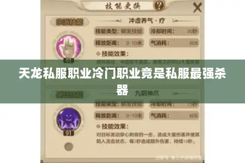 天龙私服职业冷门职业竟是私服最强杀器