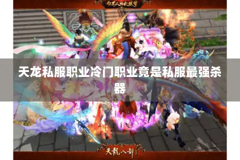 天龙私服职业冷门职业竟是私服最强杀器