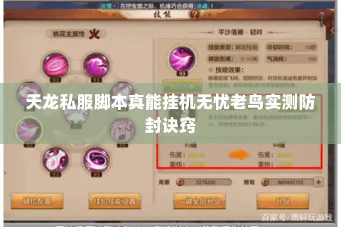 天龙私服脚本真能挂机无忧老鸟实测防封诀窍