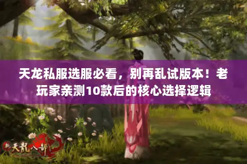天龙私服选服必看，别再乱试版本！老玩家亲测10款后的核心选择逻辑