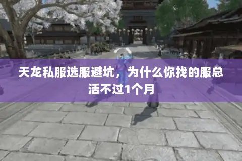 天龙私服选服避坑，为什么你找的服总活不过1个月