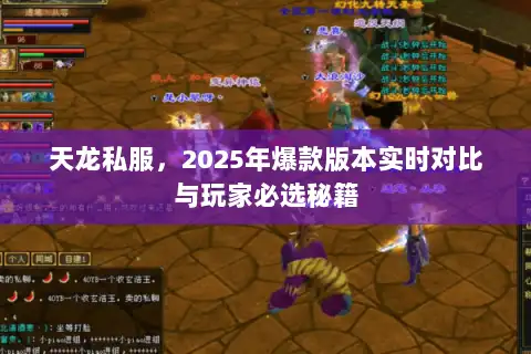 天龙私服，2025年爆款版本实时对比与玩家必选秘籍