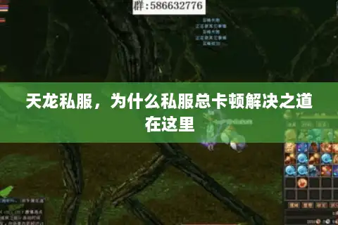 天龙私服，为什么私服总卡顿解决之道在这里