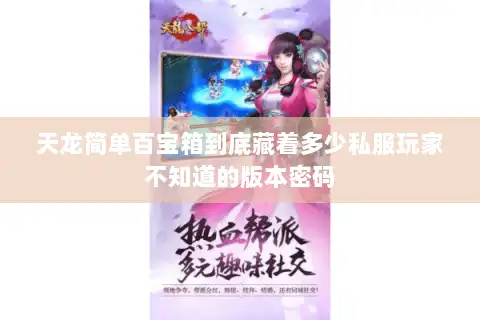天龙简单百宝箱到底藏着多少私服玩家不知道的版本密码