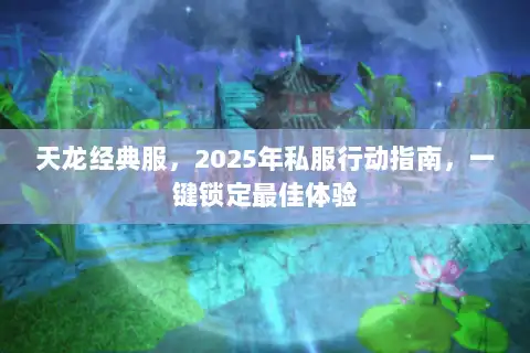 天龙经典服，2025年私服行动指南，一键锁定最佳体验