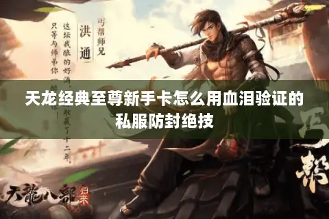 天龙经典至尊新手卡怎么用血泪验证的私服防封绝技