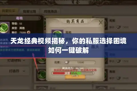 天龙经典视频揭秘,你的私服选择困境如何一键破解 天龙经典视频揭秘,你的私服选择困境如何一键破解