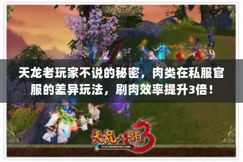 天龙老玩家不说的秘密，肉类在私服官服的差异玩法，刷肉效率提升3倍！