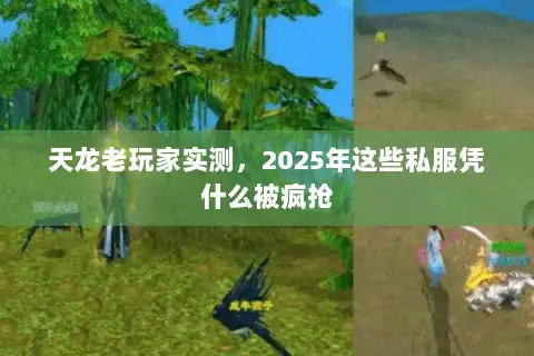 天龙老玩家实测，2025年这些私服凭什么被疯抢