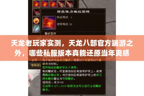 天龙老玩家实测,天龙八部官方端游之外,哪些私服版本真能还原当年爽感 天龙老玩家实测,天龙八部官方端游之外,哪些私服版本真能还原当年爽感