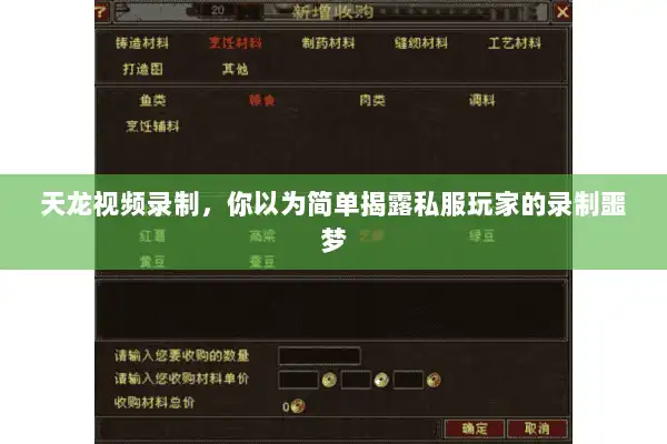 天龙视频录制，你以为简单揭露私服玩家的录制噩梦