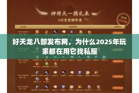 好天龙八部发布网，为什么2025年玩家都在用它找私服