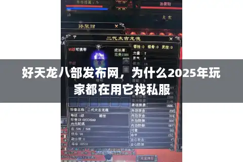 好天龙八部发布网，为什么2025年玩家都在用它找私服