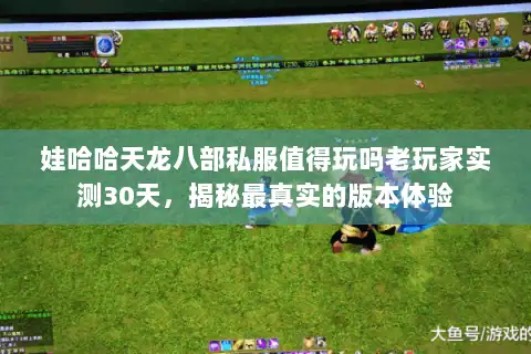 娃哈哈天龙八部私服值得玩吗老玩家实测30天，揭秘最真实的版本体验