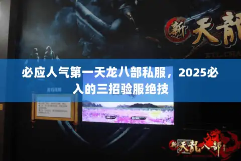 必应人气第一天龙八部私服，2025必入的三招验服绝技
