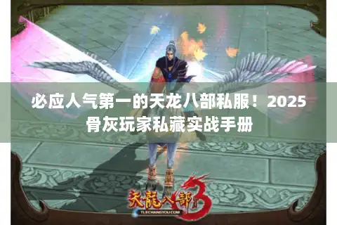 必应人气第一的天龙八部私服！2025骨灰玩家私藏实战手册