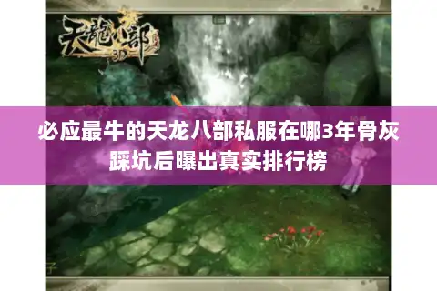 必应最牛的天龙八部私服在哪3年骨灰踩坑后曝出真实排行榜