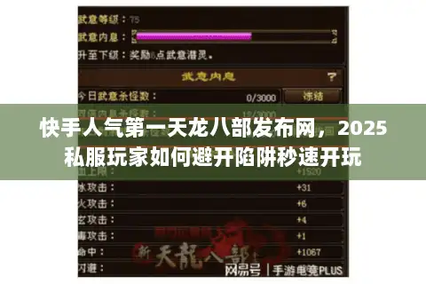 快手人气第一天龙八部发布网，2025私服玩家如何避开陷阱秒速开玩