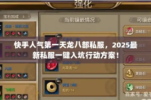 快手人气第一天龙八部私服，2025最新私服一键入坑行动方案！