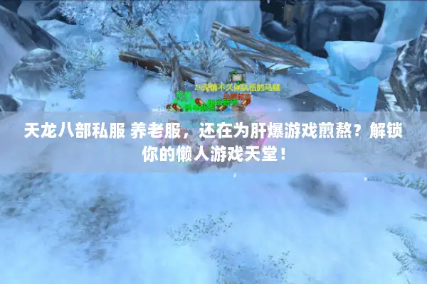 天龙八部私服 养老服，还在为肝爆游戏煎熬？解锁你的懒人游戏天堂！