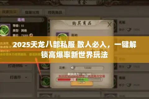2025天龙八部私服 散人必入，一键解锁高爆率新世界玩法