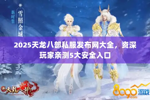 2025天龙八部私服发布网大全，资深玩家亲测5大安全入口