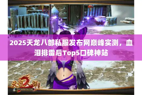 2025天龙八部私服发布网巅峰实测，血泪排雷后Top5口碑神站